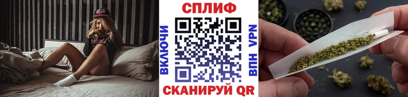 Где купить наркоту Шацк Канабис  КОКАИН  Амфетамин  ГАШ  СОЛЬ 