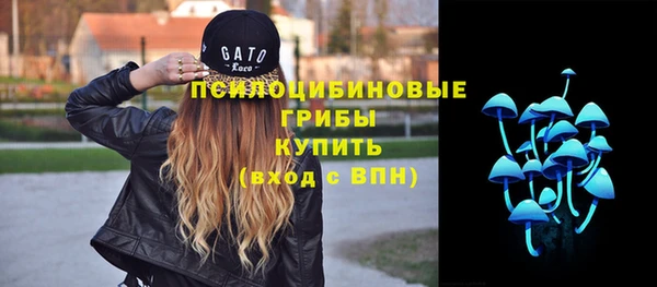 прущая мука Алзамай