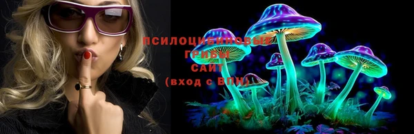 прущая мука Алзамай