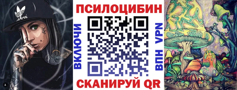Галлюциногенные грибы Psilocybe Шацк