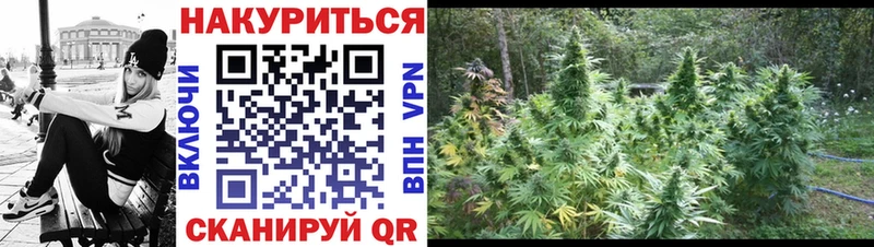 Каннабис LSD WEED  Шацк 