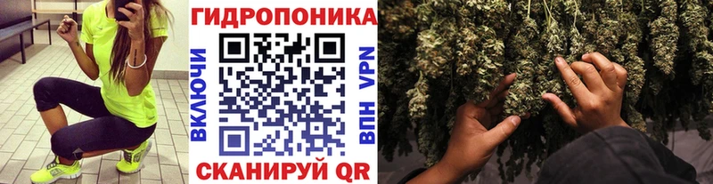 Марихуана VHQ Шацк